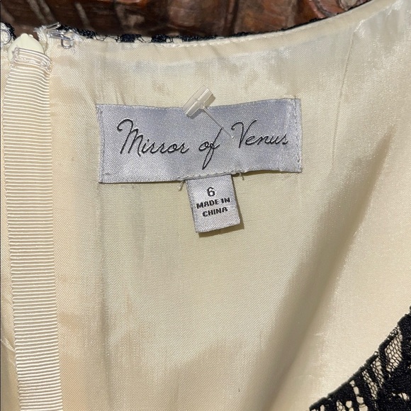 Anthropologie Mirror of Venus Retro 50s Pinup wedding guest Lace Dress Size 6 - Picture 3 of 7